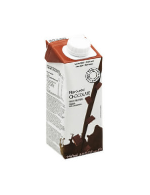 Boisson hyperprotéinée Chocolat Tetra Brik 250 ml