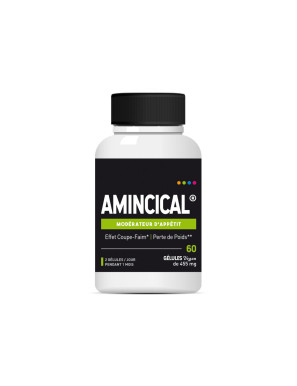 Amincical 60 gélules