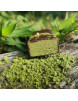 Chrononutrition Barre Citron Matcha Bio riche en protéines sans gluten